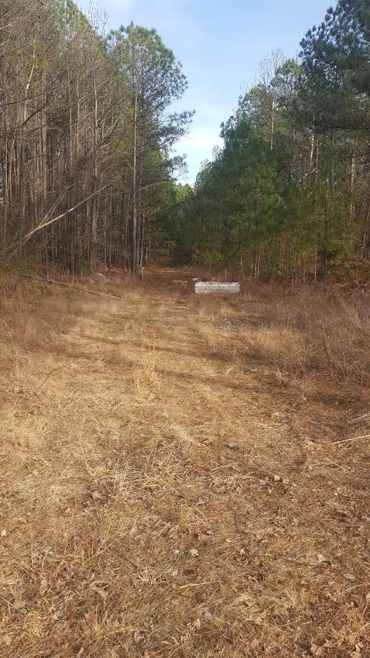 130 +/ ACRES OF LAND